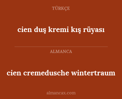 cien cremedusche wintertraum - cien duş kremi kış rüyası