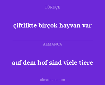 çiftlikte birçok hayvan var - auf dem hof sind viele tiere