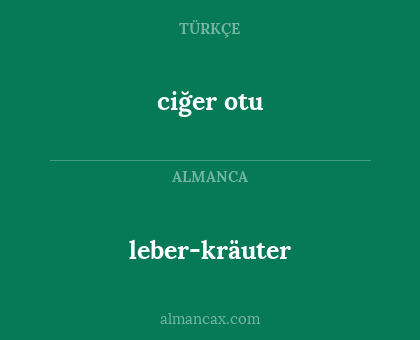 leber-kräuter - ciğer otu
