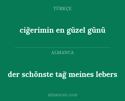 der schönste tağ meines lebers - ciğerimin en güzel günü