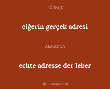 ciğerin gerçek adresi - echte adresse der leber