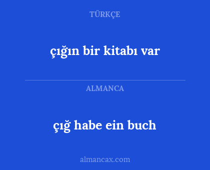 çığ habe ein buch - çığın bir kitabı var