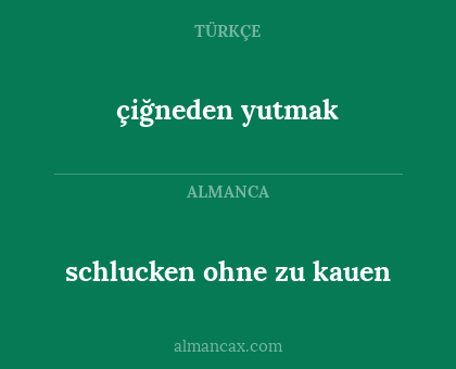 çiğneden yutmak - schlucken ohne zu kauen
