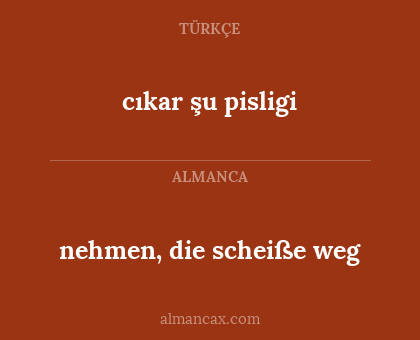 nehmen, die scheiße weg - cıkar şu pisligi