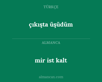 çıkışta üşüdüm - mir ist kalt
