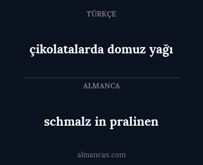 schmalz in pralinen - çikolatalarda domuz yağı