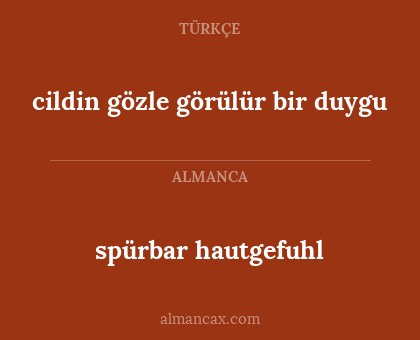 cildin gözle görülür bir duygu - spürbar hautgefuhl