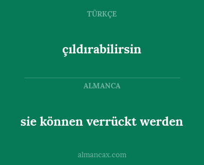 çıldırabilirsin - sie können verrückt werden