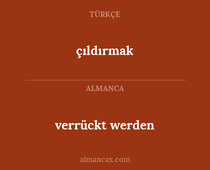 çıldırmak - verrückt werden