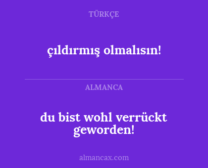 çıldırmış olmalısın! - du bist wohl verrückt geworden!