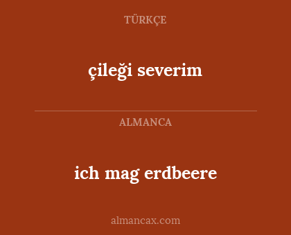 ich mag erdbeere - çileği severim
