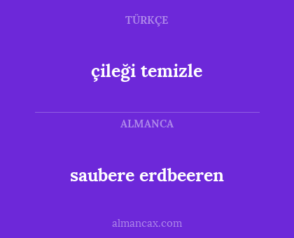 çileği temizle - saubere erdbeeren
