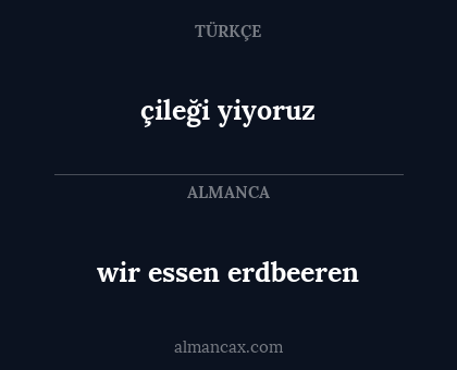 çileği yiyoruz - wir essen erdbeeren