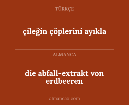 çileğin çöplerini ayıkla - die abfall-extrakt von erdbeeren