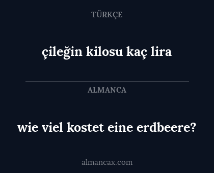 wie viel kostet eine erdbeere? - çileğin kilosu kaç lira