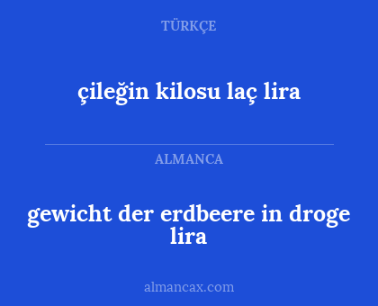 çileğin kilosu laç lira - gewicht der erdbeere in droge lira