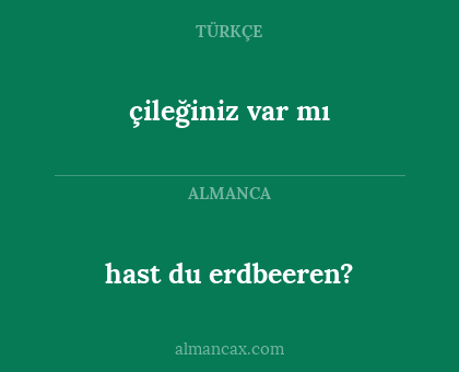 hast du erdbeeren? - çileğiniz var mı
