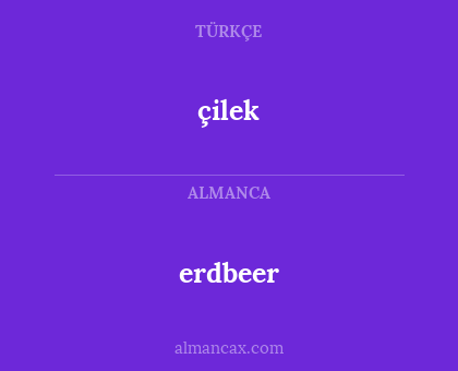 çilek - erdbeer