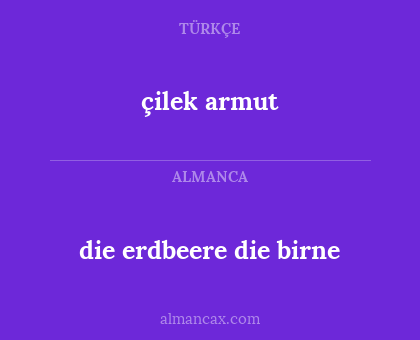 çilek armut - die erdbeere
die birne