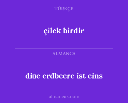 di̇e erdbeere ist eins - çilek birdir