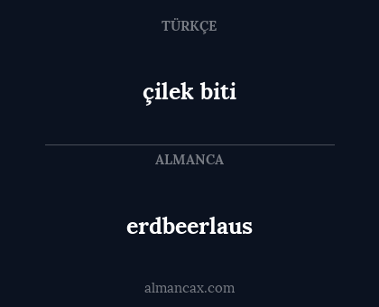 çilek biti - erdbeerlaus