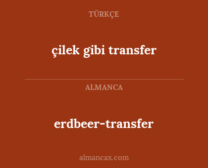 erdbeer-transfer - çilek gibi transfer