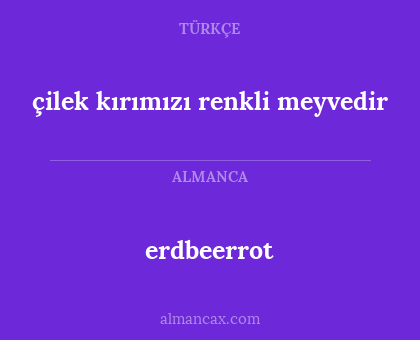 erdbeerrot - çilek kırımızı renkli meyvedir