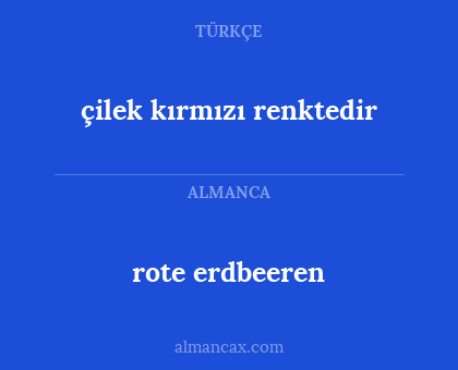 rote erdbeeren - çilek kırmızı renktedir