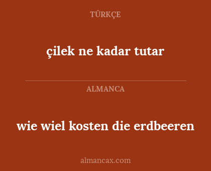 çilek ne kadar tutar - wie wiel kosten die erdbeeren