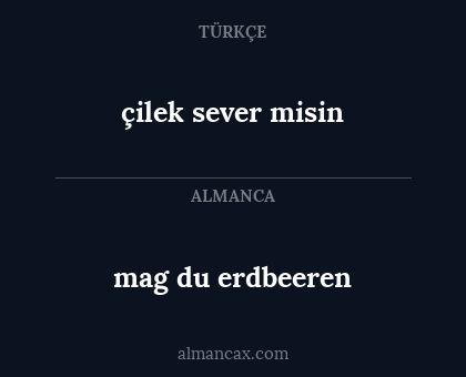 mag du erdbeeren - çilek sever misin