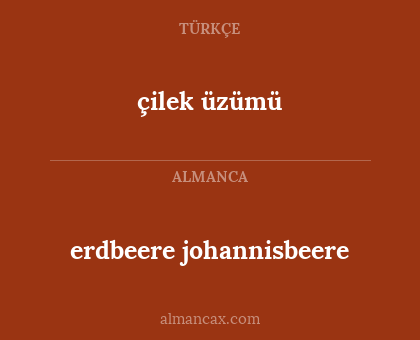 çilek üzümü - erdbeere johannisbeere