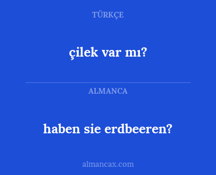 haben sie erdbeeren? - çilek var mı?