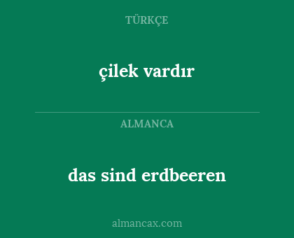 das sind erdbeeren - çilek vardır