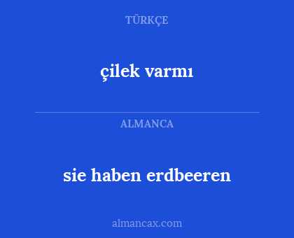 çilek varmı - sie haben erdbeeren