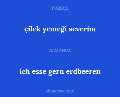 çilek yemeği severim - ich esse gern erdbeeren