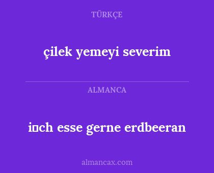çilek yemeyi severim - i̇ch esse gerne erdbeeran