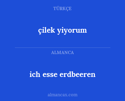 çilek yiyorum - ich esse erdbeeren