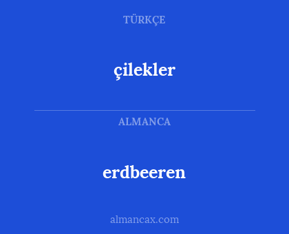 çilekler - erdbeeren