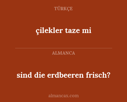 sind die erdbeeren frisch? - çilekler taze mi