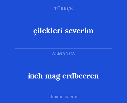 çilekleri severim - i̇ch mag erdbeeren