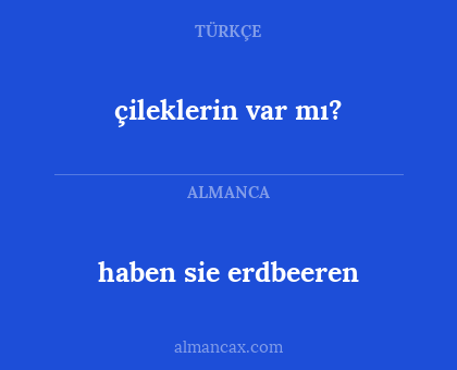 çileklerin var mı? - haben sie erdbeeren