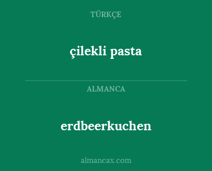 erdbeerkuchen - çilekli pasta