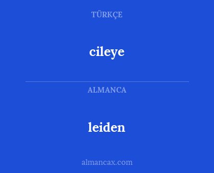 cileye - leiden