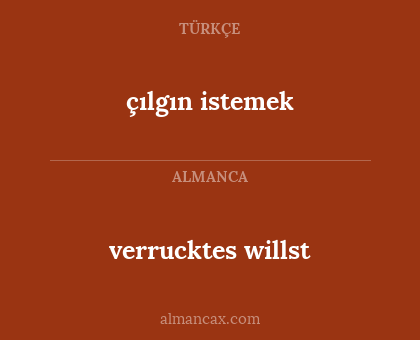 çılgın istemek - verrucktes willst