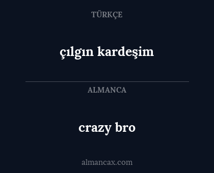crazy bro - çılgın kardeşim