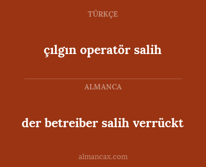 çılgın operatör salih - der betreiber salih verrückt