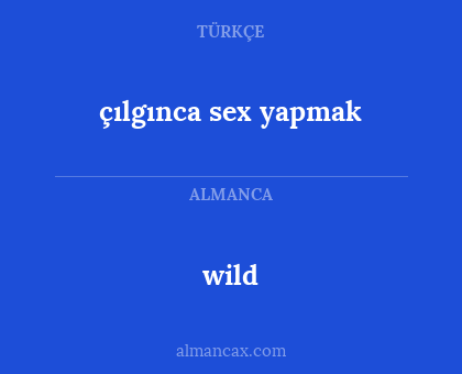 wild - çılgınca sex yapmak