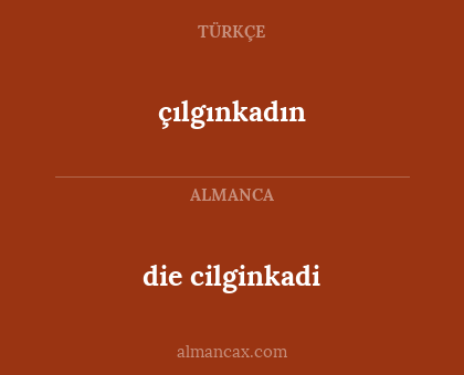 çılgınkadın - die cilginkadi