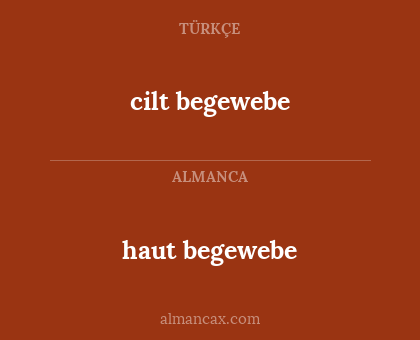 haut begewebe - cilt begewebe