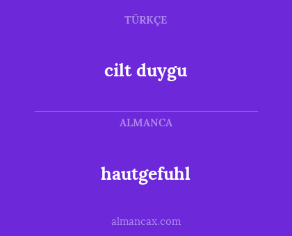 hautgefuhl - cilt duygu